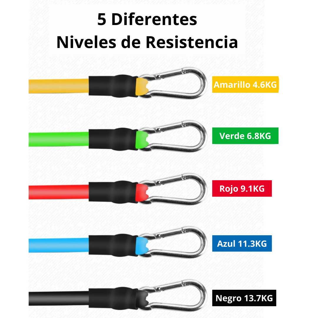 SET DE 5 LIGAS DE RESISTENCIA (KIT DE 10 PIEZAS)