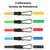SET DE 5 LIGAS DE RESISTENCIA (KIT DE 10 PIEZAS)